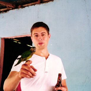 Disheveled dusky faced conure