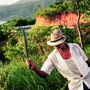 Mr. Fertile. Some of his 24 children feature in the next few photos